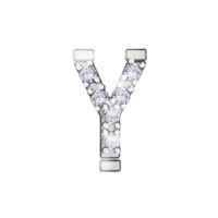 Y