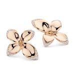 Pasquale Bruni Giardini Segreti earrings pink gold and diamonds