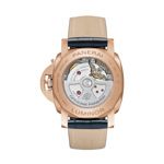 Luminor Marina Goldtech™  (1)